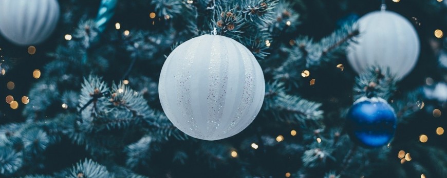 Weihnachtsbaum aufstellen, frisch halten, entsorgen & mehr